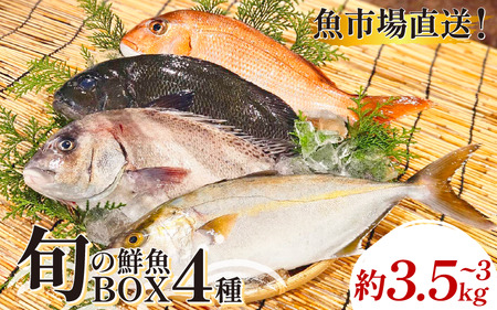 鮮魚ボックス 4種 冷蔵 鮮魚