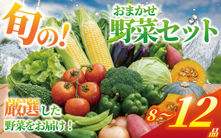 野菜 セット 8 ～ 12品 旬 の 野菜 やさい ヤサイ