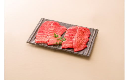 【高島屋選定品】 ＜熊崎畜産＞飛騨牛モモ・バラ焼肉  冷凍 赤身 モモ 霜降りバラ ギフト 岐阜県 中津川市 F4N-0541