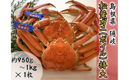 2704　【木村鮮魚店提供】　隠岐松葉ガニ特番サイズ（ボイル）　１枚