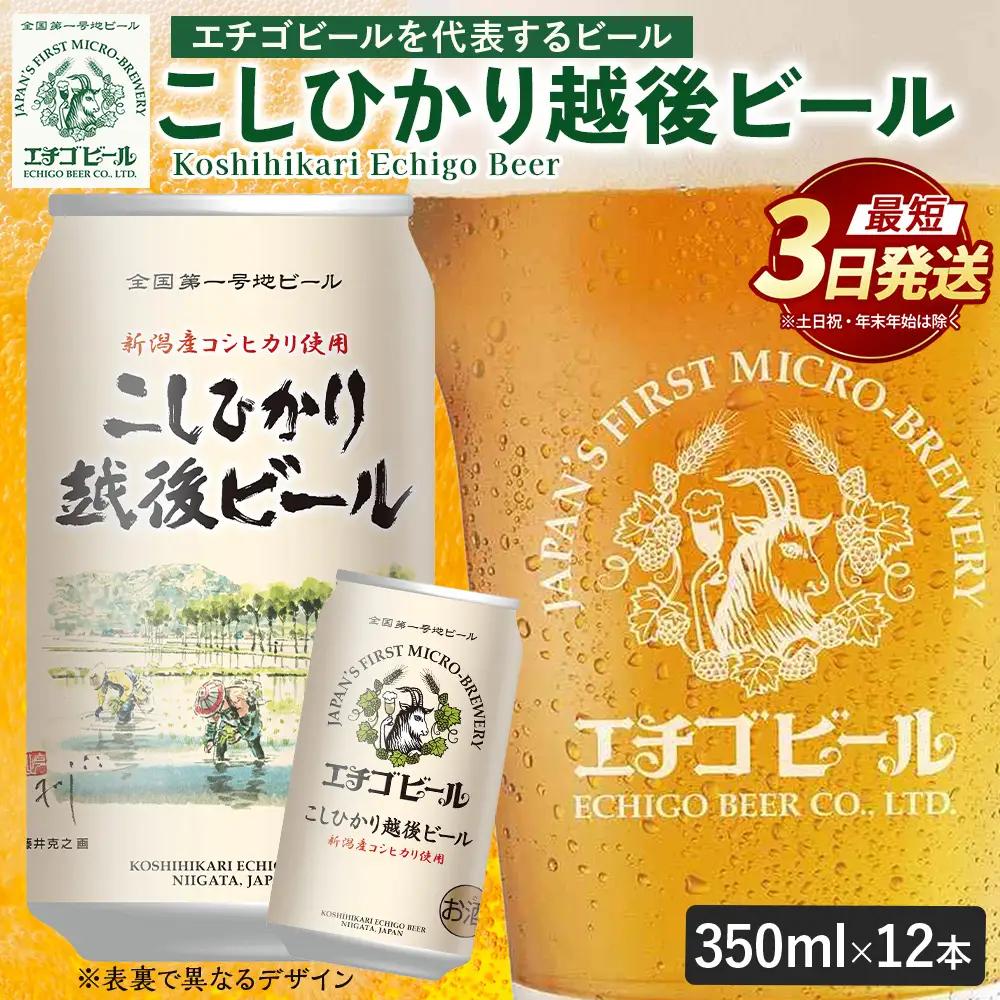 クラフトビール エチゴビール こしひかり越後ビール 350ml 缶 12本 〔P-446〕【最短3日発送】ビール 地ビール コシヒカリ 那須町