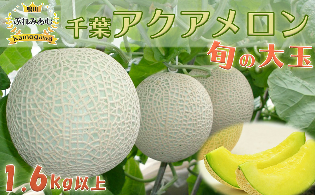 《令和５年６月より発送開始！》糖度・食味ともに最高の季節にお届けする旬の大玉🍈