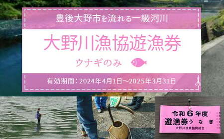 024-1063 大野川漁協遊漁券 ウナギのみ