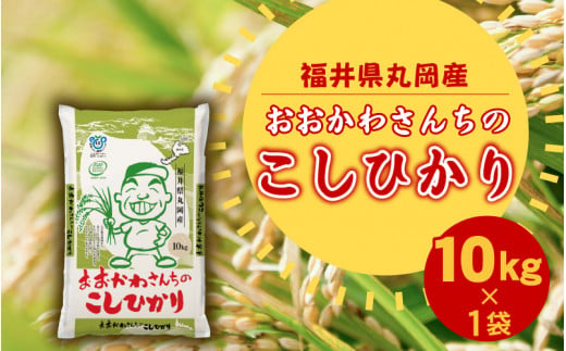 【令和6年産・新米】 おおかわさんちのコシヒカリ 10kg [B-10801]