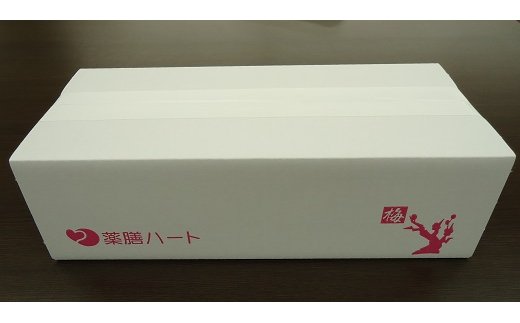 和漢入り梅エキス　葯膳梅　H001-063