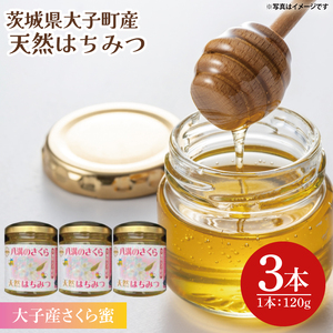 【2026年10月～2027年4月発送】天然はちみつ【大子のさくら蜜 120g×3本セット】|茨城県 大子町 奥久慈 ハチミツ 蜂蜜 プレゼント 包装(BG004)