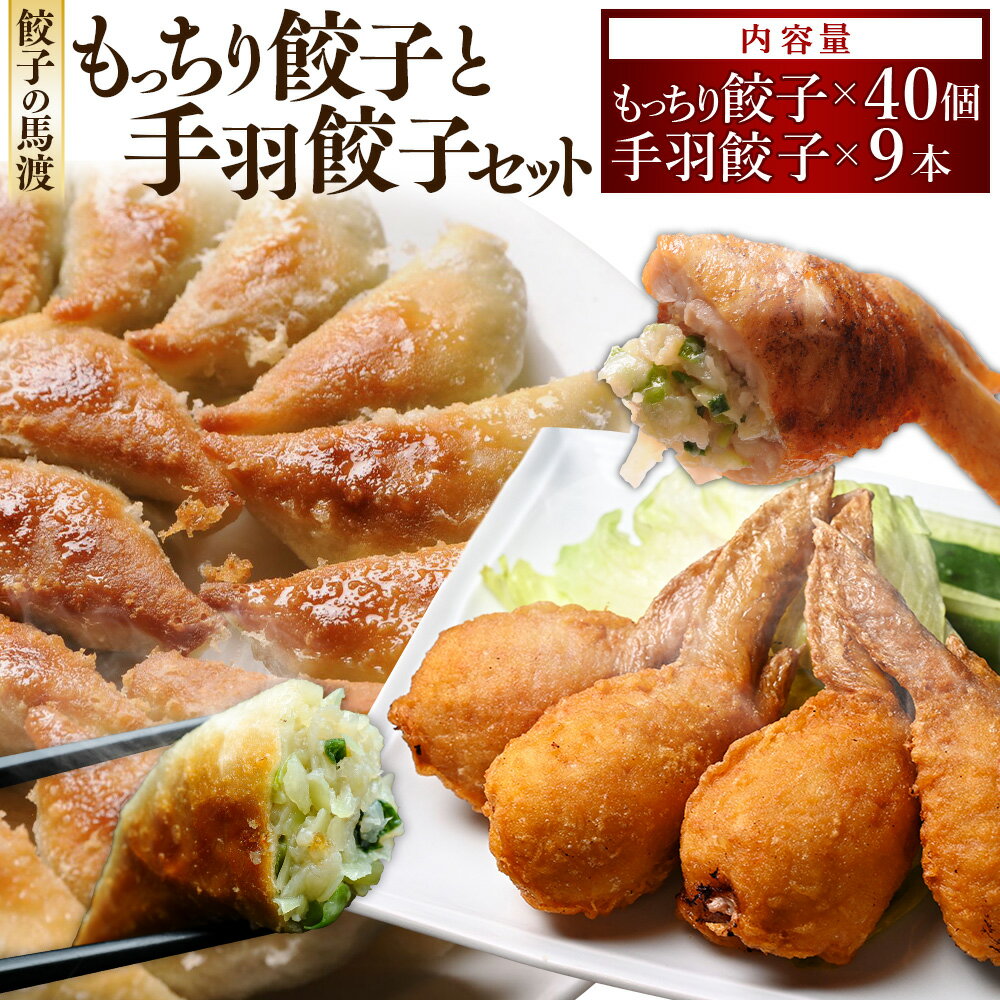 餃子の馬渡 馬渡のもっちり餃子40個と手羽餃子10本セット