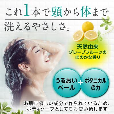 ふるさと納税 板倉町 やさしさ地肌 ナチュラルスキン&ヘアソープ(1本)|13_log-090101 |  | 01