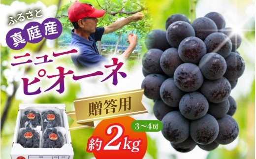 
                  〈贈答用〉岡山の自然がはぐくむピオーネ  約2kg【beac002-01】
                