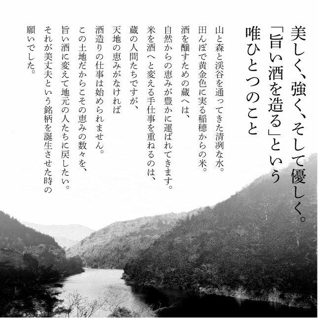 ★四国一小さなまちの地酒★ 美丈夫 特別純米酒＆特別本醸造 ２本セット 1800ml×2本 お歳暮 日本酒 一升瓶 お酒 酒 おさけ 1.8L 度数 14度 15度 おいしい 地酒 男性 父 誕生日_