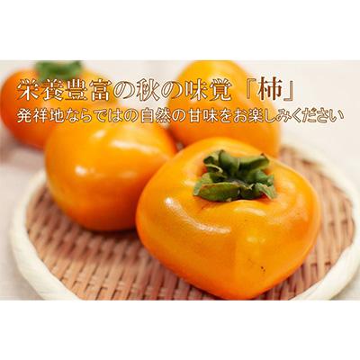 ふるさと納税 天理市 【R8年10月以降発送】刀根早生柿発祥の地より「たねなし柿」L〜2L(32〜36玉)【優品】ご家庭用 |  | 03