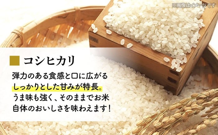 こしひかり 白米 10kg 5kg×2袋 布野特産センター APBA005 米 精米 コメ コシヒカリ お米 令和7年産 広島