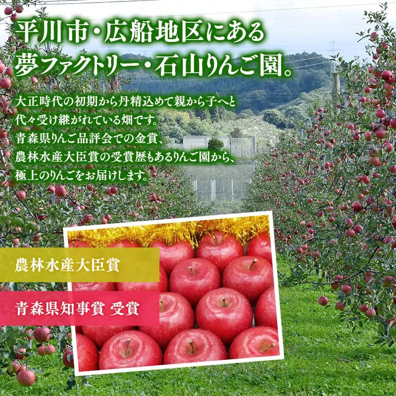 りんご 贈答用 ぐんま名月 約3kg【hi-0008-019】 