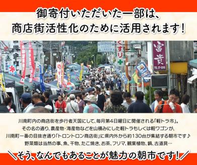 【3ヶ月定期便】宮崎県産若鶏　日南どり　もも肉＆むね肉＆手羽元　計6kg（各2㎏×1） 【 ふるさと納税 鶏肉 鶏 若鶏 もも むね 手羽元 セット 宮崎県産 川南町 おうち時間 おうちごはん 定期便