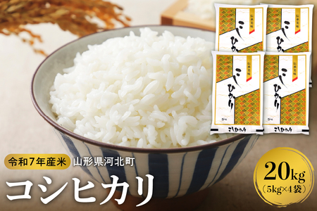【令和7年産米】2026年5月中旬発送 コシヒカリ20kg（5kg×4袋） 山形県産 【米comeかほく協同組合】ka024-055d-r7-052