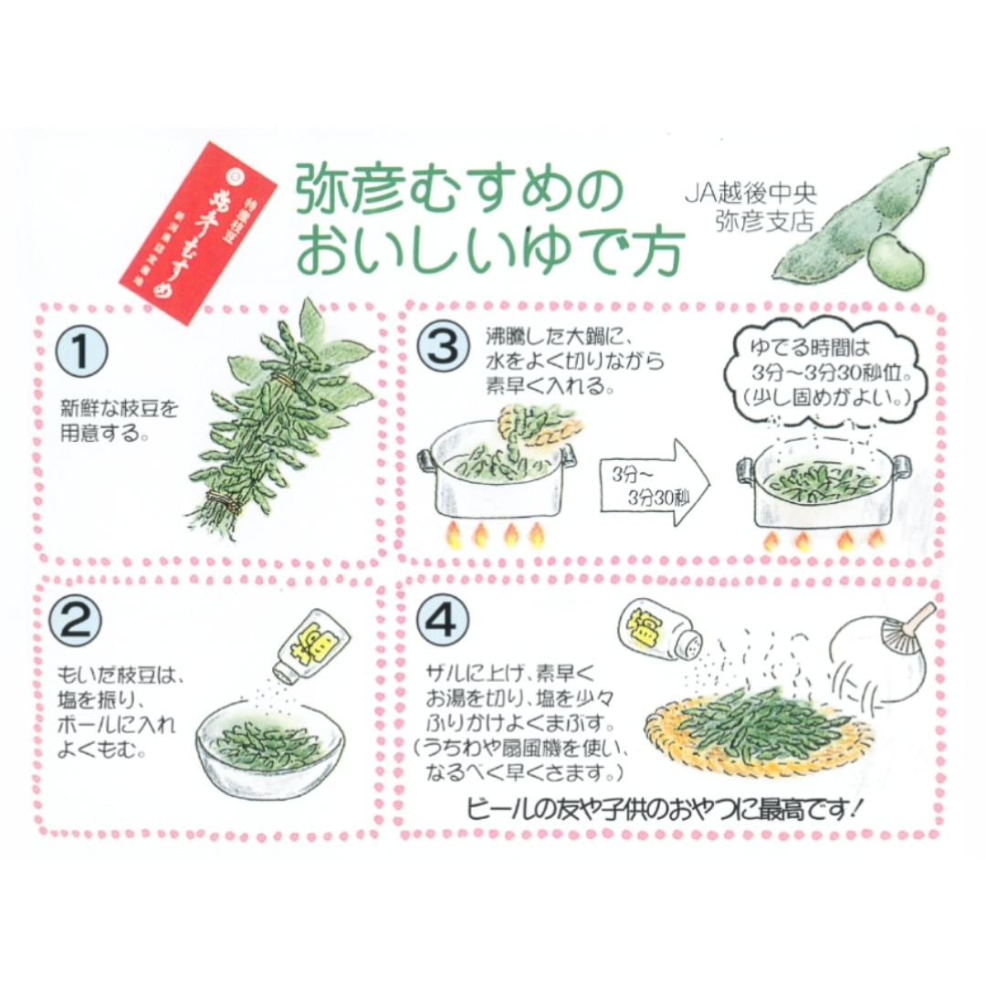 《先行予約》 初夏の香をお届けします。弥彦村産「弥彦むすめ」枝付き枝豆 2把(約1kg)