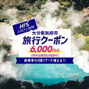 【ふるさと納税】《レビューキャンペーン》【6,000円分】大分県別府市の対象ツアーに使えるHISふるさと納税クーポン ツアー 宿泊 旅行 旅 トラベル お出かけ 温泉 家族旅行 観光 ホテル 旅館 温泉宿 チケット クーポン 旅券 HIS 九州 宿泊予約 大分県 別府市 送料無料