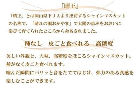 ぶどう 2024年 先行予約 ご家庭用 シャイン マスカット 晴王 3～6房 約2kg ブドウ 葡萄  岡山県産 国産 フルーツ 果物[No.5220-1470]