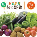 【ふるさと納税】旬の野菜 7品セット 《壱岐市》【壱岐市農業協同組合】[JBO001] 野菜 ベジタブル 食材 詰め合わせ 産地直送 野菜セット グルメ 春 夏 秋 冬 旬 サラダ 冷蔵 夏野菜 スムージー 9000 9000円 冷蔵配送