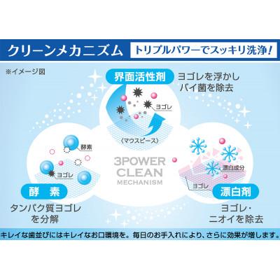 ふるさと納税 東大阪市 マウスピース洗浄剤 プロテクトクリーン　324錠(108錠×3箱) |  | 02