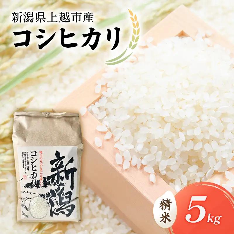 コシヒカリ 5㎏ 特別栽培米 新潟県 上越産 コシヒカリ