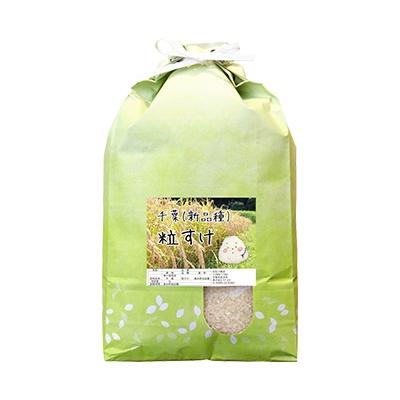 ふるさと納税 君津市 【新品種】千葉・粒すけ　5kg(大つぶ)