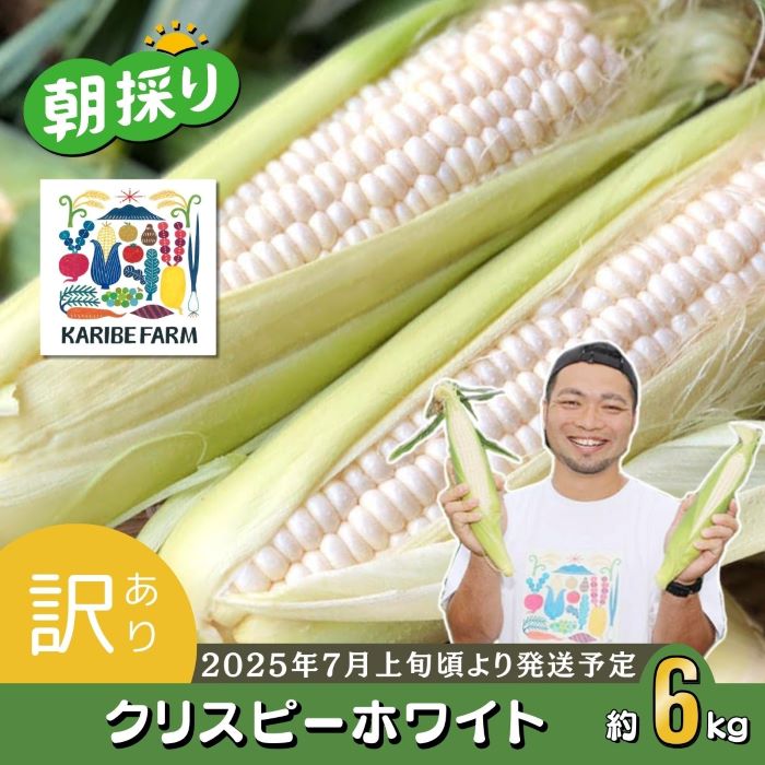 【ふるさと納税】【先行予約】【訳あり】下妻産朝採りとうもろこし（クリスピーホワイト）約6kg【2025年7月上旬～7月中旬ころ順次発送予定】【とうもろこし とうきび トウモロコシ 甘い スイーツ デザート クリスピーホワイト コーン 人気 野菜 新鮮 おすすめ】