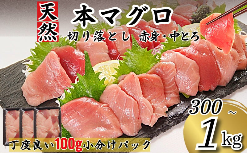 
            天然本まぐろ 切り落とし 300g～1Kg マグロ 本まぐろ 中とろ 赤身 天然 鮪 小分け 冷凍 刺身 漬け 晩酌 寿司 ユッケ マグロ丼 ねぎとろ 海鮮
          