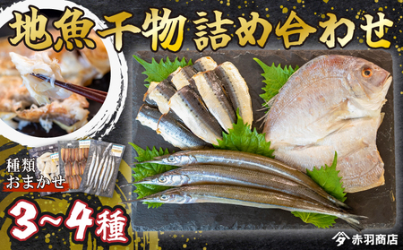 おまかせ 地魚 ひもの 詰合せ 南知多産 3~4種 冷凍 旬 鮮魚 干物 鯛 イワシ タチウオ 鰯 味醂 干し フグ サヨリ 河豚 鱧 みりん 醤油 タイ ハモ しょうゆ キス 太刀魚 季節 海鮮 新鮮 おかず 乾き物 つまみ 魚貝 魚 丸干し 魚介 詰め合わせ さかな つめあわせ 簡単 セット 人気 おすすめ 愛知県 南知多町