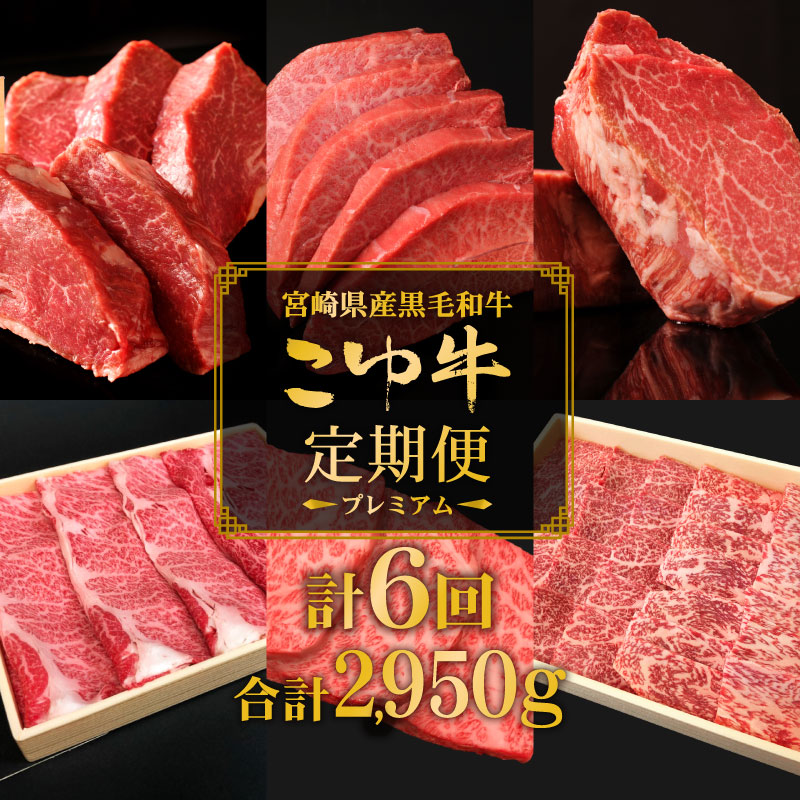 こゆ牛プレミアム定期便＜全6回＞ 1年間 宮崎黒毛和牛 偶数月配送※2026年2月開始 シャトーブリアン 希少部位を含む和牛6品【F42-26】