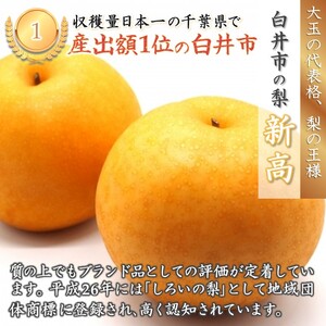 【今秋収穫分予約受付】新高 5kg 7～10玉 しろいの梨 JA西印旛農産物直売所やおぱぁく