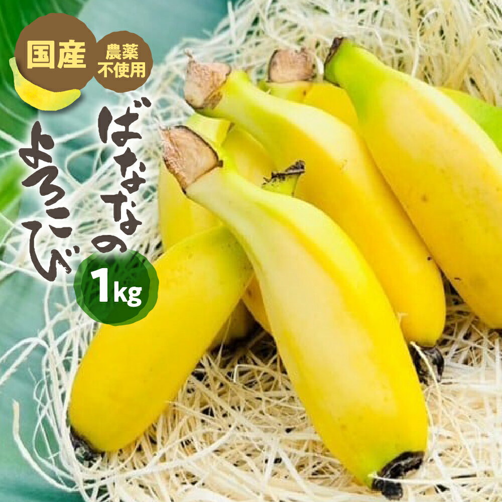 【ふるさと納税】≪先行予約≫ 愛知県・田原産 ブランドばなな『ばななのよろこび』1kg バナナ ばなな お取り寄せ フルーツ 果物 贈答 ギフト プレゼント 甘い ベイビーナ 希少 国産バナナ 国産 田原市 産地直送 送料無料