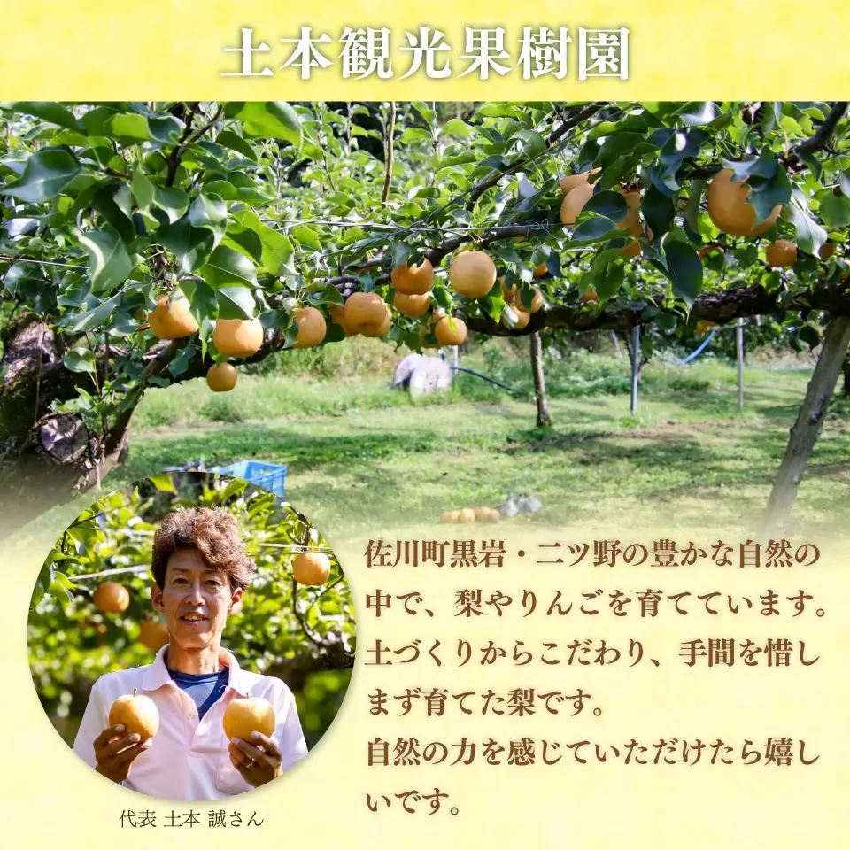 【ふるさと納税】＜新興梨 【期間・数量限定】＞梨 5kg 10～11玉 高知県 佐川町 黒岩 土本観光果樹園 フルーツ【常温】