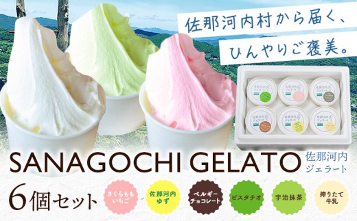 ジェラート アイス スイーツ SANAGOCHI GELATO 6個 株式会社クリスティーヌ 《30日以内に出荷(土日祝除く)》 徳島県 佐那河内村 お菓子 ご褒美 プレゼント いちご チョコ ピスタチオ ミルク 【配送不可地域あり】(離島)