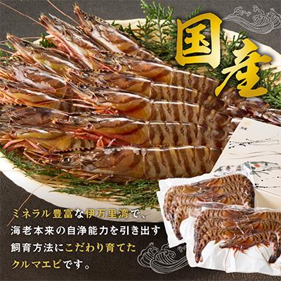ふるさと納税 伊万里市 伊万里産　お刺身用冷凍ジャンボ車海老 |  | 01