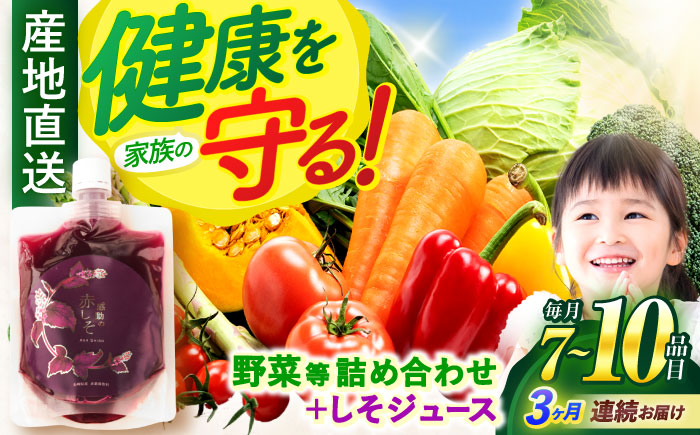 【3回定期便】野菜等詰め合わせセット(7〜10品目) / 野菜 果物 フルーツ くだもの きのこ しそ / 諫早市 / 松尾農園 [AHAY007]