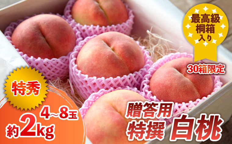 
            最高級桐箱入り 贈答用 特撰 白桃 約2kg (30箱限定)【令和7年産先行予約】 FS24-045 くだもの 果物 フルーツ 山形 山形県 山形市 2025年産
          