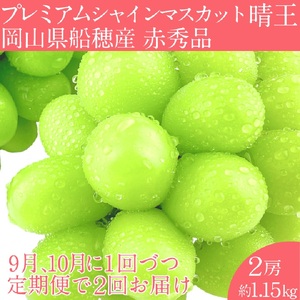 2026年予約受付中【 2回定期便】 プレミアム シャインマスカット 晴王 2房約1.15kg/ 岡山県 船穂産 赤秀品 種無し 皮ごと食べる みずみずしい 9月10月に1回づつ届け フレッシュ 晴れの国 おかやま 果物大国 彩美菜果 [№5735-2126