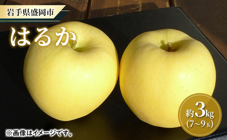 【大櫻農園】はるか 盛岡 完熟 りんご 約3kg（7～9玉）林檎 リンゴ 果物 フルーツ 旬の果物 旬のフルーツ 季節の果物 季節のフルーツ 岩手りんご 岩手県 盛岡市 