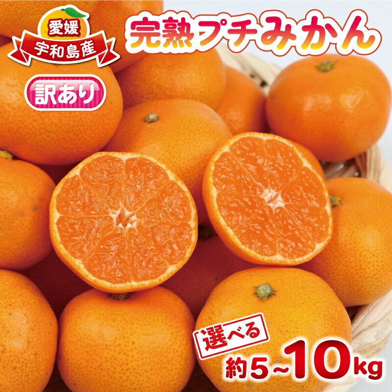 【ふるさと納税】 みかん 小玉 数量限定 訳あり 完熟 プチ ミカン 選べる 内容量 5kg ~10kg 杉本屋 先行予約 完熟みかん mikan わけあり 小玉みかん 小みかん 愛媛みかん 愛媛蜜柑 温州 早生温州 温州みかん 果物 くだもの フルーツ 柑橘 産直 産地直送 国産 愛媛 宇和島