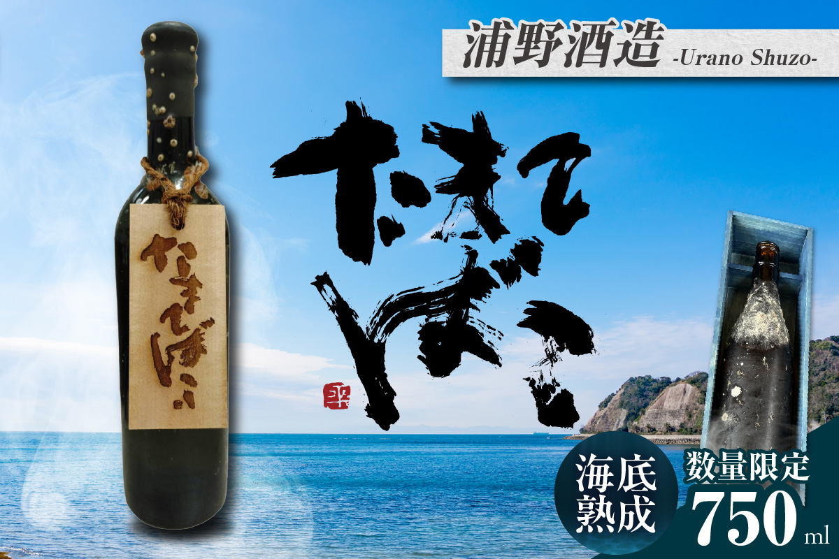 【テレビで紹介！】伊勢湾竜宮熟成酒「たまてばこ」【浦野酒造】│天然熟成酒 日本酒 玄米使用 お酒 アルコール 贅沢 純米酒 熟成酒 海底熟成 地酒井上屋 愛知県 常滑市