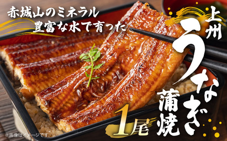 上州うなぎ蒲焼　1尾（150g以上）うなぎ