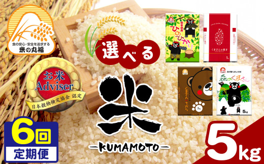 【定期便6回】 お米アドバイザーにおまかせ 5kg×6回 | 米 こめ お米 おこめ 白米 精米 定期 定期便 熊本県 玉名市