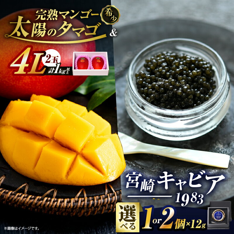 【ふるさと納税】≪内容量が選べる≫ 完熟マンゴー 太陽のタマゴ (4L×2玉) ＆ 宮崎キャビア1983 期間限定 数量限定 宮崎 マンゴー フルーツ 果物 くだもの キャビア 魚介 魚卵 詰め合わせ 国産 食品 希少 デザート おすすめ 冷蔵 ご褒美 贅沢 ギフト 贈り物 日南市 送料無料