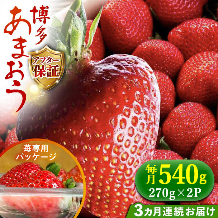 【ふるさと納税】【予約受付】【2月1日順次発送】【全3回定期便】農家直送 朝どり新鮮いちご【博多あまおう】約270×2パック《築上町》【株式会社H&Futures】 [ABDG008] 25000円