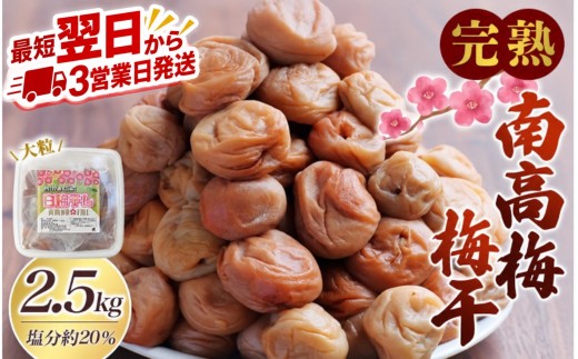 
                  梅干し 無添加 完熟南高梅 2.5kg (1.25kg×2パック)  塩分約20％ 数量限定 サイズ混合 高評価 ご家庭用 梅干 梅 うめ ウメ 梅干 白干 白干し 白梅 白梅干し 人気 健康 ご飯のお供 お取り寄せ 予約 和歌山県 北山村【最短翌日～3営業日以内に発送予定】【njb647A】
                