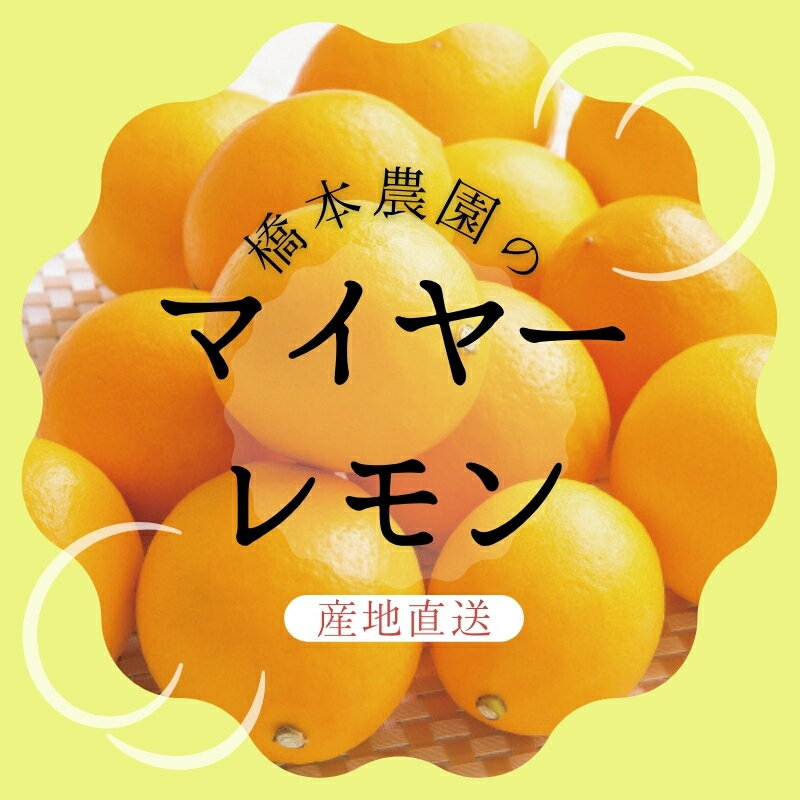 【ふるさと納税】 ＼選べる容量／ 【先行予約】橋本農園のマイヤーレモン【3kg・5kg・10kgから選べます】【2025年12月中旬〜2026年1月中旬までに順次発送】 / レモン マイヤーレモン 檸檬 果物 くだもの フルーツ 産地直送 国産 数量限定