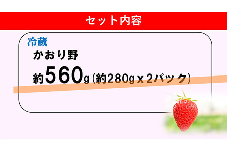 【ふるなび限定】【新農場オープン記念】【先行受付 2026年1月より発送】【農場直送！】かおり野(約280g×2P)【ふるさと納税 基山町産 いちご イチゴ 朝採れ 完熟果 FN-Limited-PR