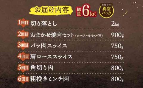 【6回定期便】ジビエ 天然イノシシ肉 バラエティ総量6.0kg / 猪肉 いのしし イノシシ 猪鍋 ぼたん鍋 肉 切り落とし肉 スライス肉 ミンチ肉 いのしし肉【照本食肉加工所】 [OAJ075]