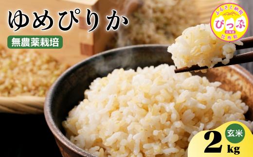 令和7年産 新米 ゆめぴりか 玄米 2kg【今野農園】無農薬栽培 農薬不使用 化学肥料不使用 米 お米 北海道米 特Aランク 国産 コメ 2025年産 北海道 比布町 ぴっぷ 1012-006